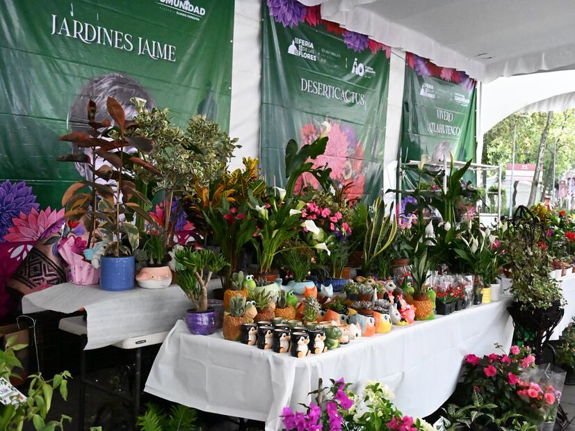 Productores locales y nacionales comparten sus conocimientos en la Feria de las Flores 2026. Foto: Facebook Secretaría de Turismo de la Ciudad de México