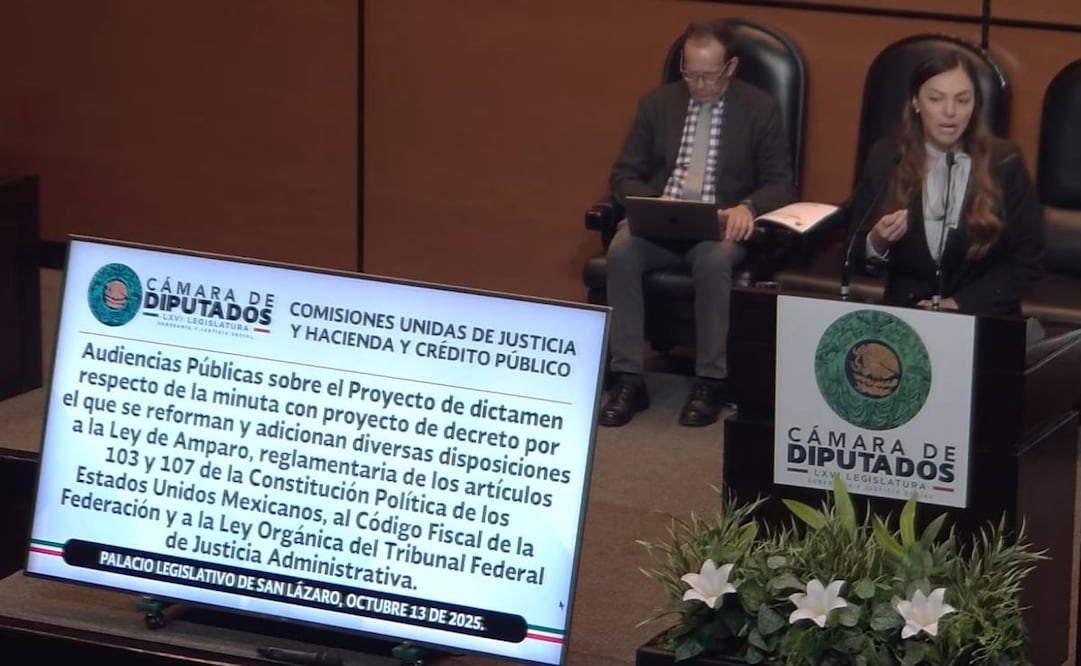 Tercera “Audiencia Pública sobre la Ley de Amparo”, realizada en la Cámara de Diputados este lunes 13 de octubre de 2025. Foto: Especial