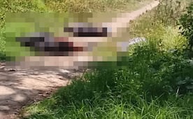 Hallan a tres jóvenes ejecutados en Temamatla; Fiscalía del Edomex investiga el triple homicidio