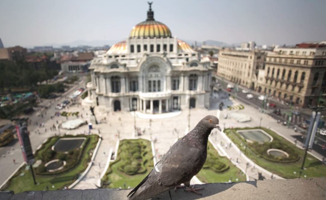 Suspenden fase I de Contingencia