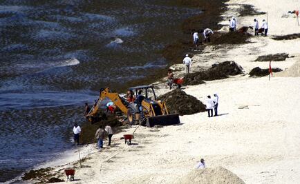 Seaweed threatens the Mexican Caribbean