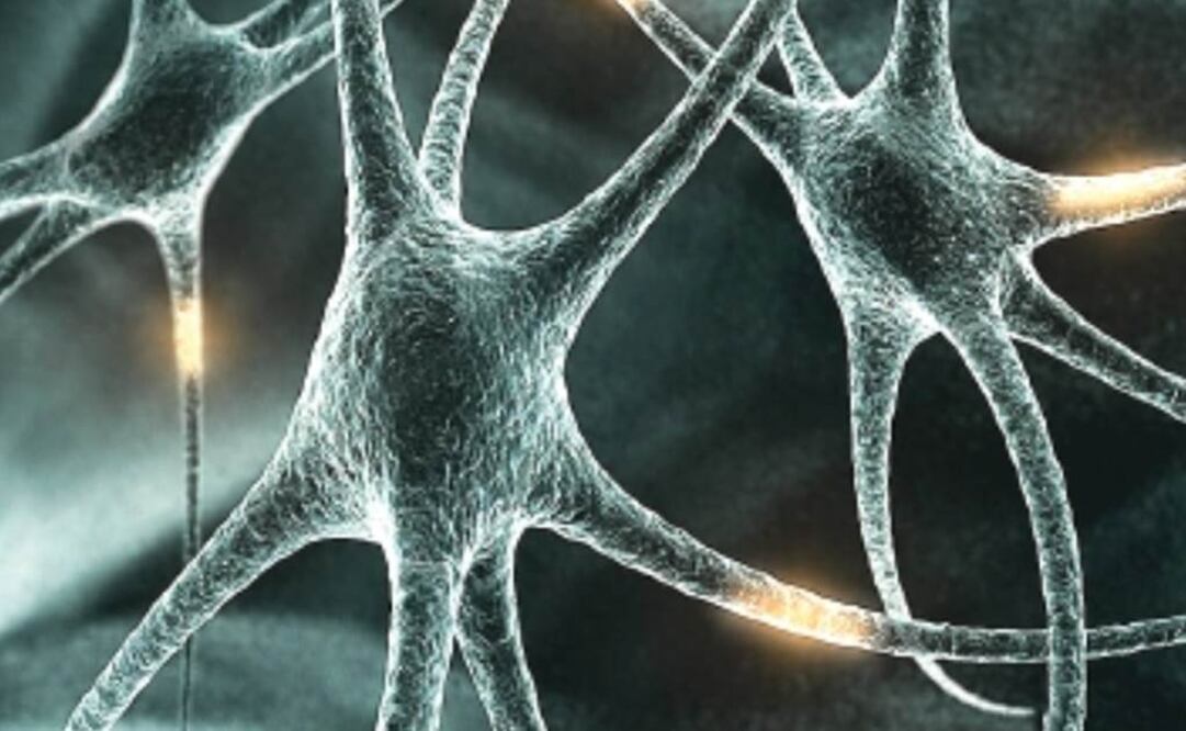 La esquizofrenia se manifiesta habitualmente durante la adolescencia. Foto: Archivo