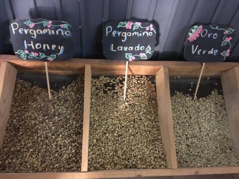 Café colimota, el futuro para las barras de especialidad