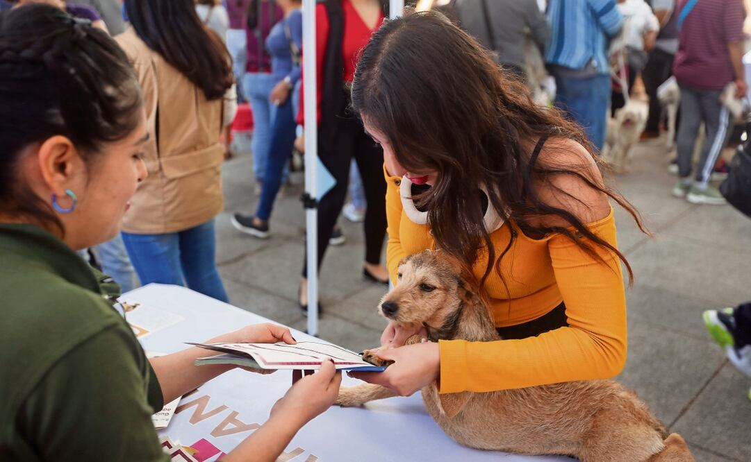 En el municipio de Chalco se realizó la cuarta Caravana por el Bienestar Animal, en la que se ofrecen diversos servicios para las mascotas, como la esterilización y entrega de actas de nacimiento. Foto: Luis Camacho | El Universal