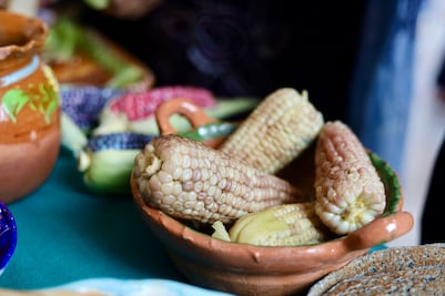 Invitan a la Feria del Maíz y la Agrobiodiversidad 2025 en el Monumento a la Revolución