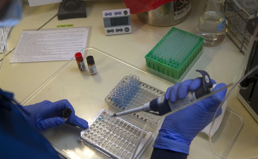 Foto: Karen Ducey/Getty Images/AFP, archivo