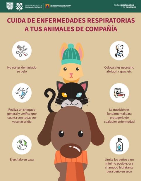 ¡Protégete del frío! Estas son algunas recomendaciones para hacer frente a las bajas temperaturas