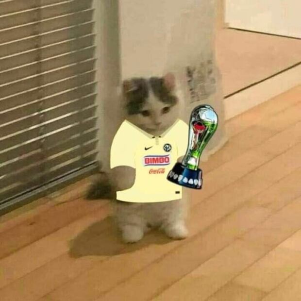 Clásico Nacional: Los mejores MEMES de la goleada de América a Chivas