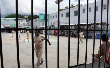 Senadores del PT proponen garantizar acceso a la cultura en el sistema penitenciario