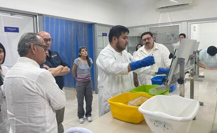 Universidad Autónoma de Yucatán avanza con proyecto contra el dengue; iniciará despliegue en Campeche y Tabasco