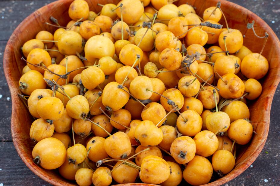 Preparar agua de nanche en casa es sencillo y muy delicioso. Foto: Freepik