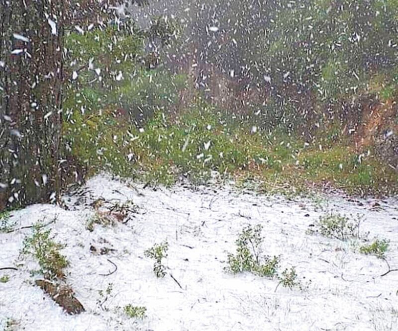 Gélido. El estado de Hidalgo registró ayer una temperatura de menos 2.6 y menos 1.1 grados en los municipios de Zimapán y Cuautepec. ESPECIAL