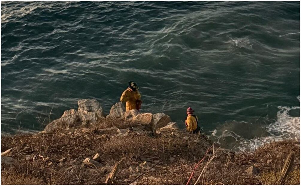 El rescate ocurrió en playa de la localidad de Todos Santos, al sur del municipio de La Paz, BCS. Foto: Especial