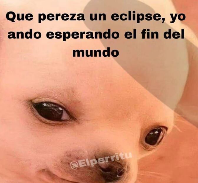 Foto: Vía X