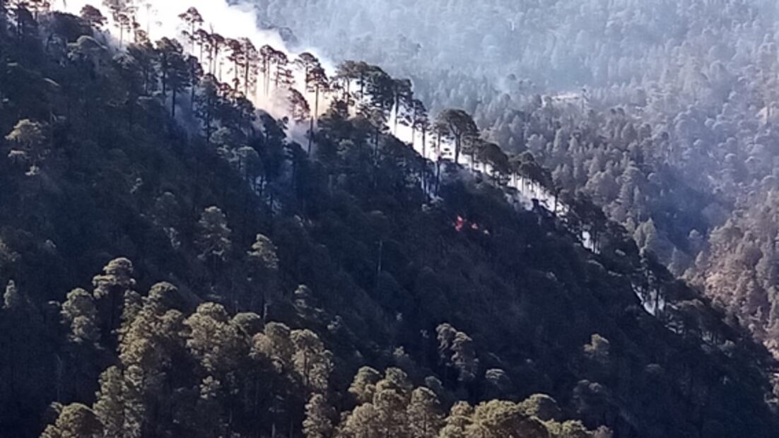 Reportan incendio forestal en el Pico de Orizaba