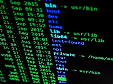 ¿Quiénes son "Guacamaya", el grupo de "hacktivistas" detrás del ciberataque a Sedena?