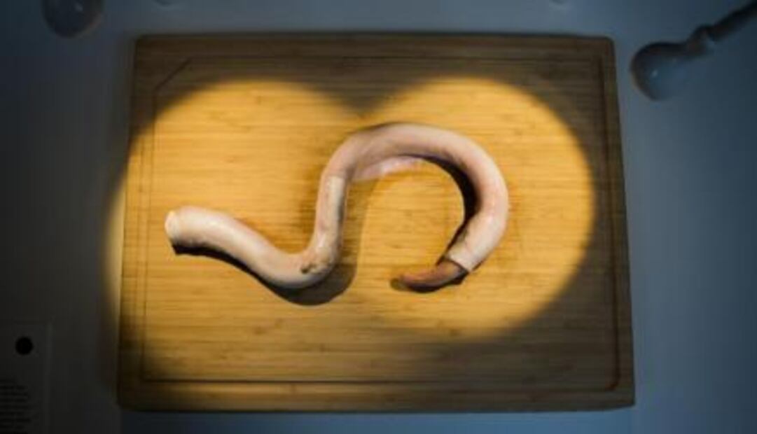 ¿Probarías el estofado de cabeza de cabra? Visita el Museo de la Comida Asquerosa