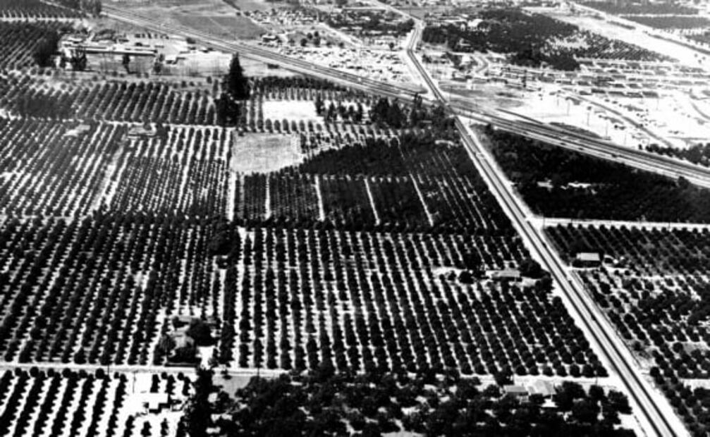 13 datos curiosos sobre Disneyland, en su cumpleaños 65