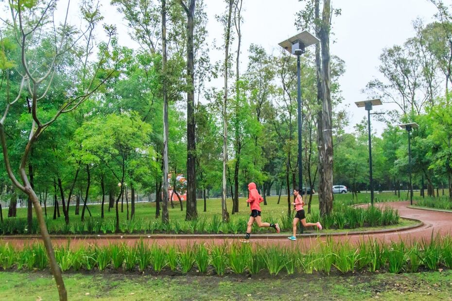 Foto: Bosque de Chapultepec