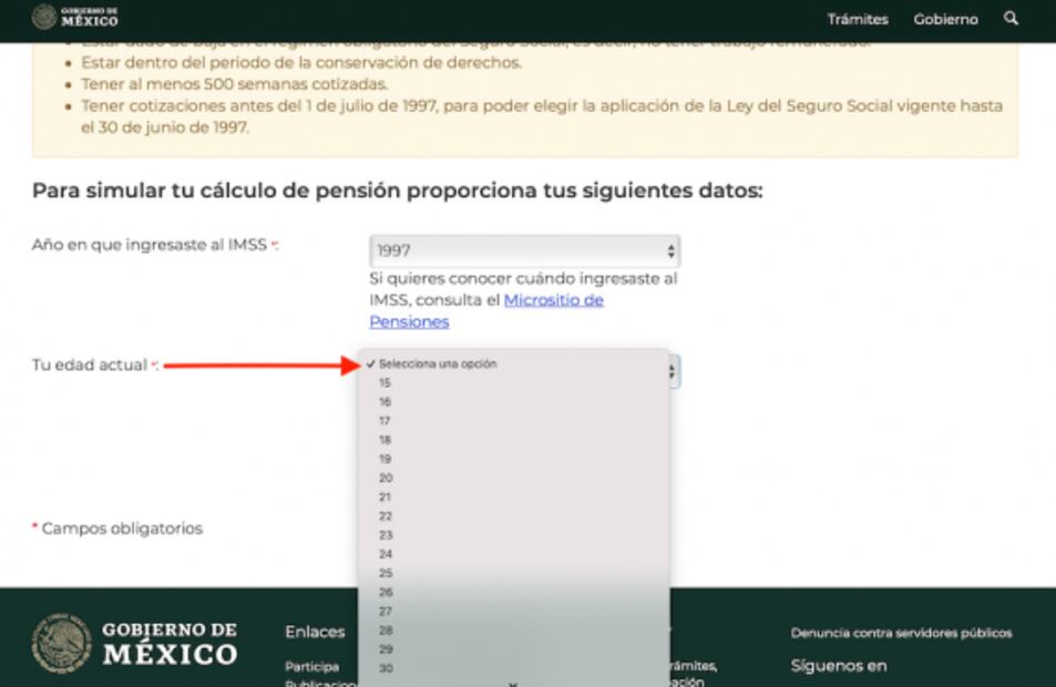¿Cómo calcular tu pensión?, este simulador del IMSS te ayuda