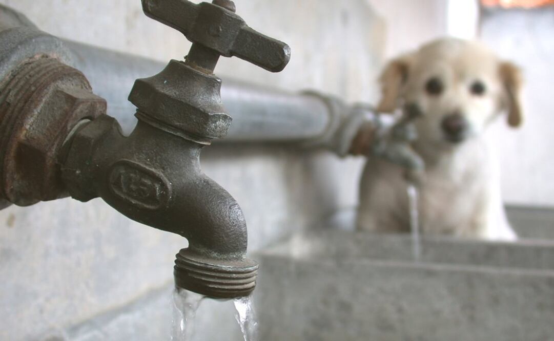 Foto: Archivo / EL UNIVERSAL