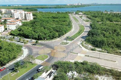 Ordena juez detener obra en Tajamar; fauna, en riesgo: ONG