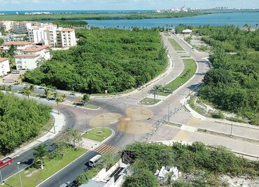Ordena juez detener obra en Tajamar; fauna, en riesgo: ONG