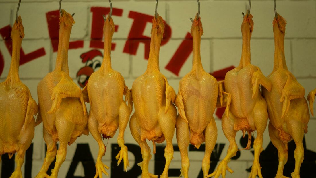 No existe un diferencia entre la calidad y los nutrientes del pollo blanco y el amarillo. Foto: Pixabay