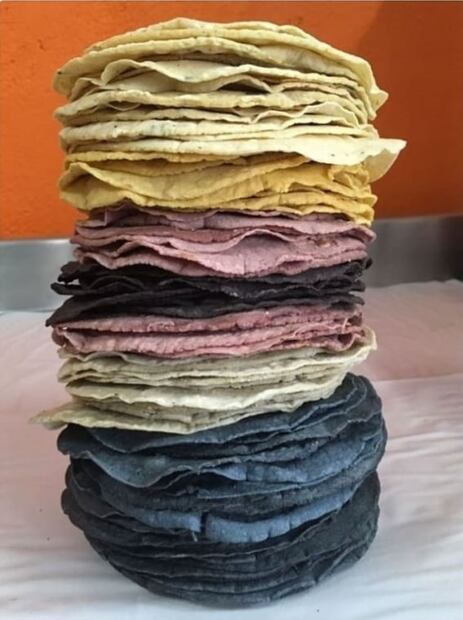 5 lugares para comprar tortillas y productos hechos con maíz criollo