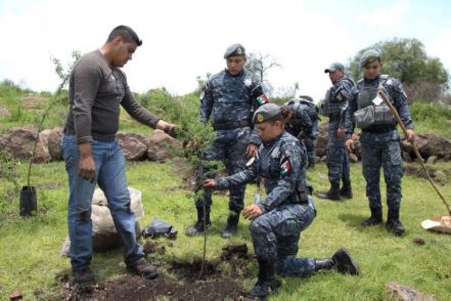 Ecatepec inicia reforestación del "Cerro Gordo"