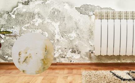 Qué es la humedad por capilaridad, según arquitectos