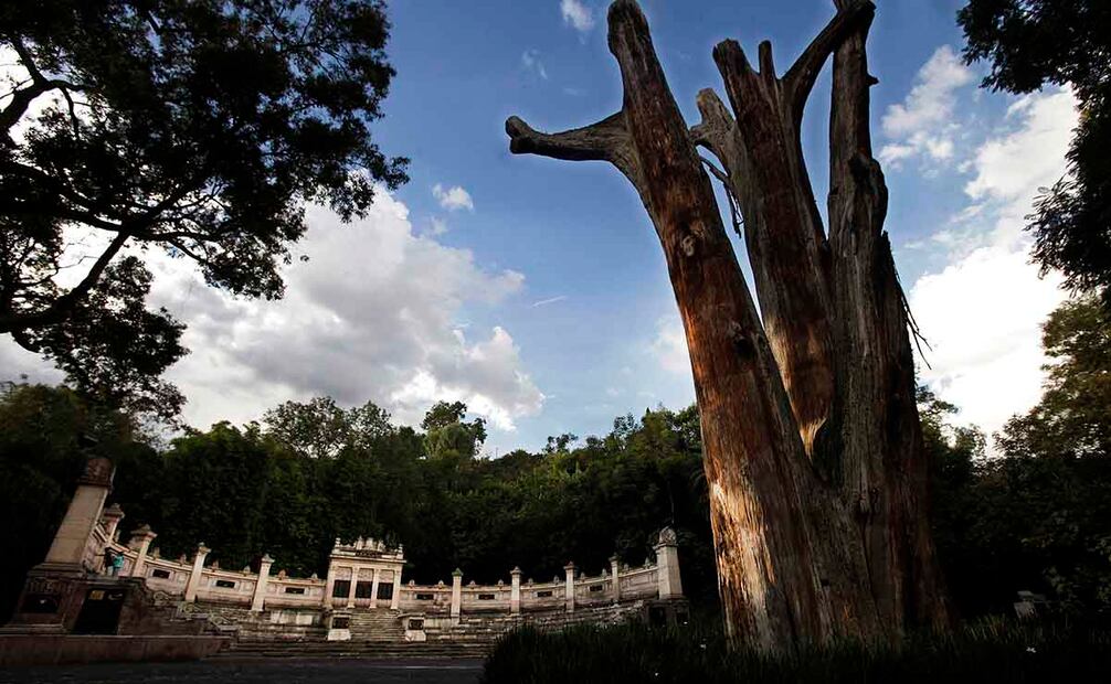 Entrada al Audiorama del Bosque de Chapultepec, 2015. Foto: Juan Carlos Reyes/EL UNIVERSAL.