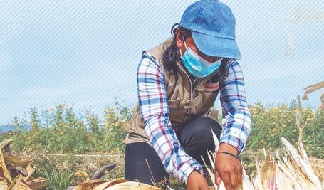 El empleo formal registra retroceso en ocho estados 