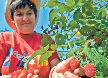 Seder impulsará proyectos agrícolas