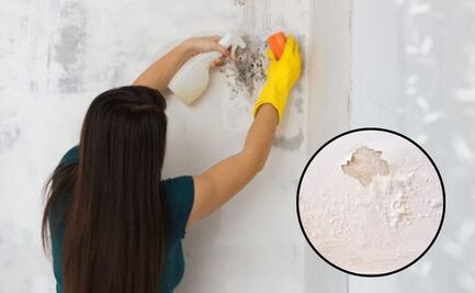 ¿Cómo eliminar el salitre de la paredes con trucos de arquitectos?