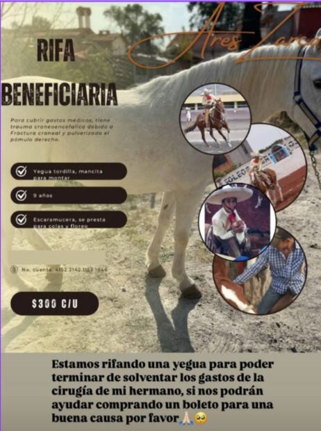 La rifa de la yegua Espuma fue sólo uno de los esfuerzos de la familia García Zarco por recabar los recursos necesarios para la salud de Ares. La deuda aún los tiene en una situación de vulnerabilidad. Crédito: Cortesía de la familia