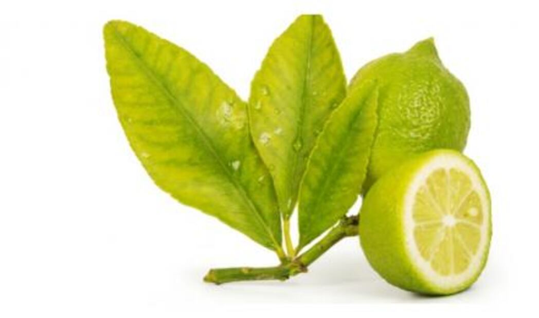 Los cítricos son tus aliados de invierno