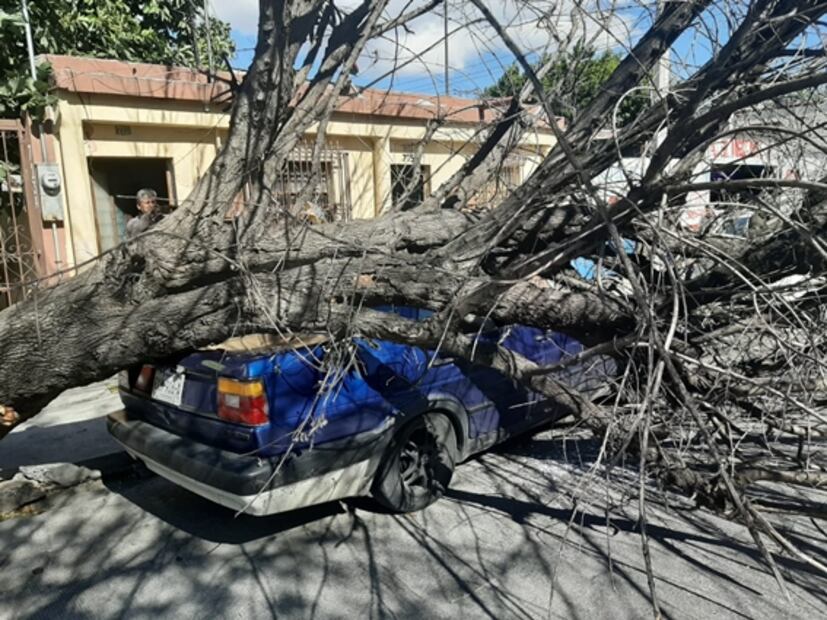 Vientos causan muerte de un trabajador en Monterrey