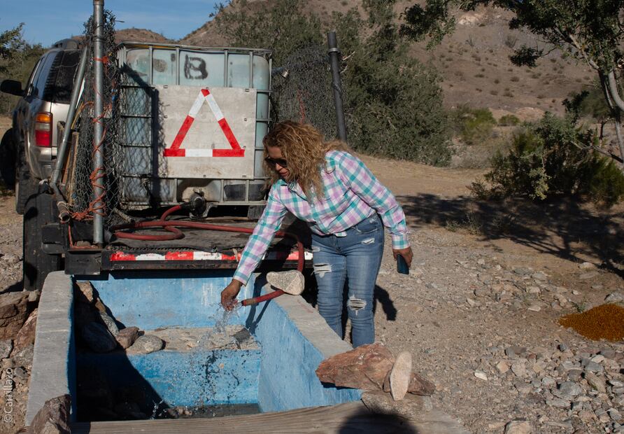 Elsa Ortiz Ramos, la liebre del desierto, en su labor filantrópica de paliar la sed de la fauna del desierto (Foto: Iván Carrillo)
