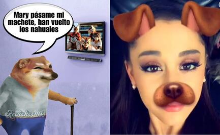 Los mejores memes que dejaron los "Therians", nueva tendencia que está marcando las redes