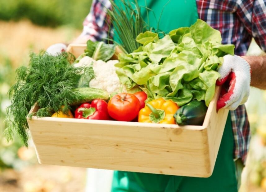 Dile adiós a la inflamación y otros padecimientos con ayuda de la trofología  