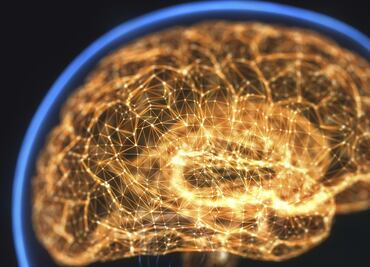"El cerebro tiene más neuronas que las estrellas existentes en la galaxia"