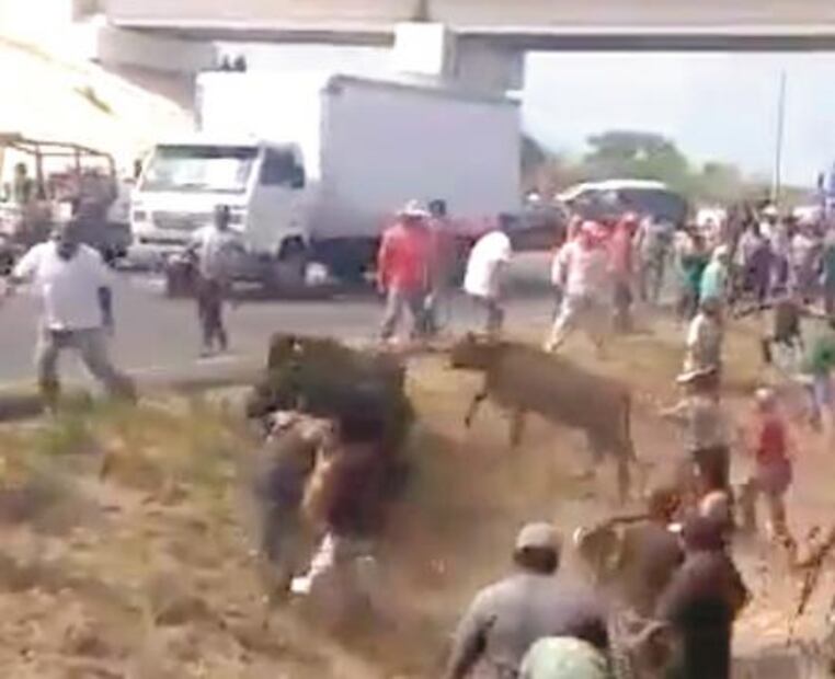 El Foco. Descubren la verdadera Cartilla Moral de Morena