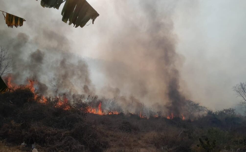 Faltan brigadistas voluntarios para combatir incendios en Sinaloa. Foto: Archivo