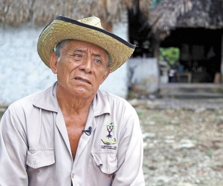 Tren Maya: van a ciegas a consulta de megaproyecto de AMLO, acusan
