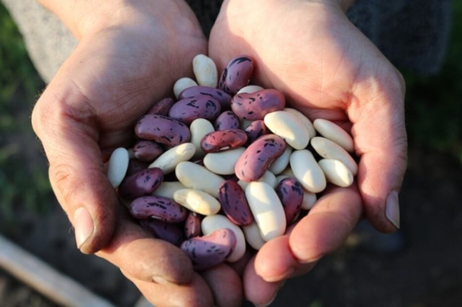 7 errores que cometes al cocer los frijoles