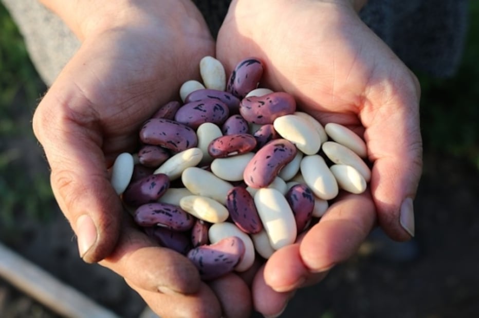 7 errores que cometes al cocer los frijoles