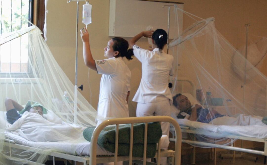 La fiebre amarilla es una enfermedad vírica aguda, hemorrágica, transmitida por mosquitos infectados. (FOTO: Archivo/EL UNIVERSAL)