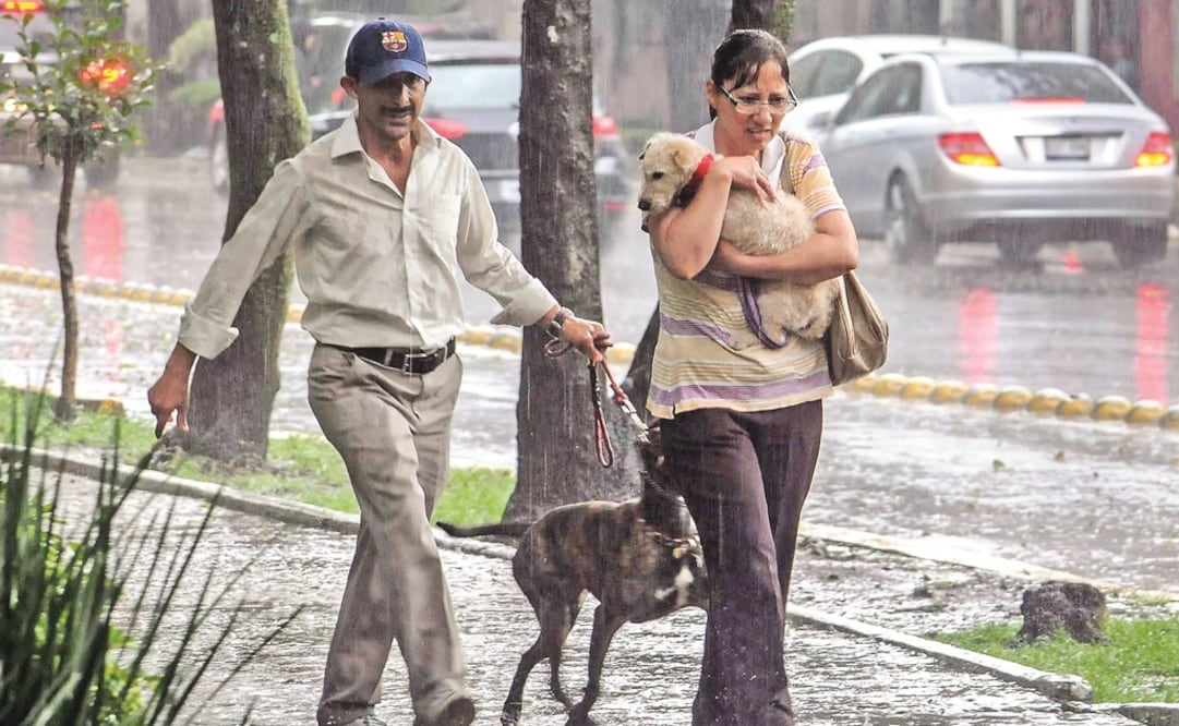 Fotografía: Archivo EL UNIVERSAL