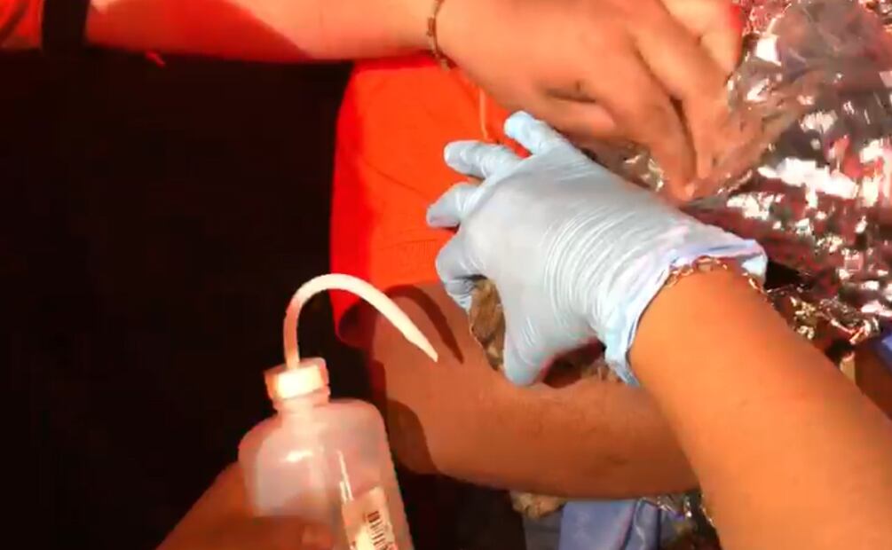 Bomberos rescatan a gatito de incendio. Foto: Isidro Corro